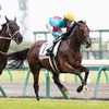 愛馬観戦記　【スタッドリー　3歳上1勝クラス】