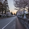 健軍神社の桜　仕事帰りに撮影