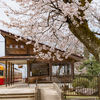 富山のさくら駅