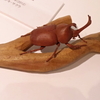 島田紘一呂　木彫り展　その12
