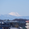 久しぶりの尾根幹はきつかった