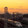 👼🐉夕暮れ時の《新幹線》東京駅行き