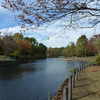 定期検診で草加市へ（ついでついでの「そうか公園」散歩）