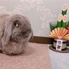 今年もありがとうございました！