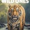海外ドラマ『The Wild Ones 絶滅危惧種を追って』日本語字幕付きブルーレイ[Blu-ray-BOX]2 -DISC