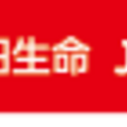 明治安田生命j1リーグ19 残り5試合 J2降格チームを大胆予想してみた 30代サラリーマンのブログ 明治安田生命j1リーグ19 残り5試合 J2降格チームを大胆予想してみた 30代サラリーマンのブログ