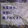 年度初めに疲れた貪欲なシンプリストは、夜桜に癒されてきた