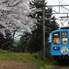 近江鉄道 2024　4/9-10