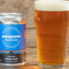 ビール117 patagonia PROVISIONS LONG ROOT PALE ALE