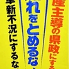 沖縄県議補選と仲井真-法定ビラ