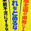 沖縄県議補選と仲井真-法定ビラ