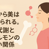 骨から美はつくられる。骨代謝とホルモンの深い関係