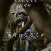 最近の夏の侵入者。