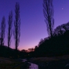 梅林公園の夕景/月景（栃木県佐野市）