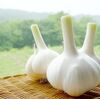 楽しく！元気に！暴れろ！ライブ前に突き刺せ！にんにく注射レビュー！