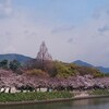 広島☆桜