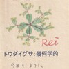 フクジュソウとフキタンポポ：早春を祝う黄色い花