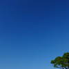 秋空ブルーSky