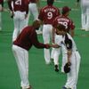 はてなプロ野球’09