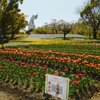 人間の起源とは？