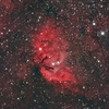 SH2-101「チューリップ星雲」（はくちょう座）