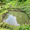 鏡が池（栃木県茂木）