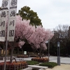 徳川美術館