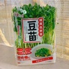 豆苗を育てる。再生栽培。何回収穫できるのか。見て楽しい、食べて美味しい。