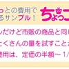 【1/3の値段で買える】ちょっプルでお得に買い物して節約！【送料無料】