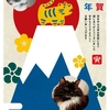 あけおめ！年始から忙しい忙しい