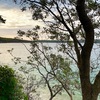 Clontarf beach to Manly Wharf 往復ウォーク