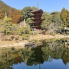 くるしゅうない・・・近うよれ