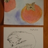柿の実を採り、柿の実を描く