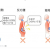 体の老いは、喉(声)に出る