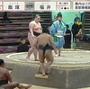 大相撲初場所