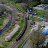 桜咲く長安寺駅で列車交換する、DD56牽引の石灰石貨物を撮る！(岩手開発鉄道撮影編)