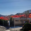 箱根美術館・長安寺 2023/11/22