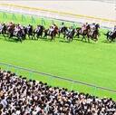 【競馬予想】今週行われる重賞を当てるために