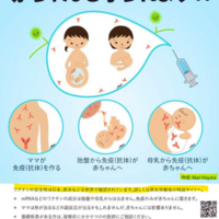 コロナワクチン推奨を中止と表明　 子供と妊婦に、 米厚生長官
