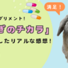 「うさぎのチカラ」は効果あり？1ヶ月試したリアルな感想！