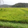 台風過ぎる　’22