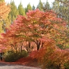 Sat.　 紅葉園 3　初登場渓谷