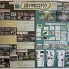 ホタルの夕べ：PTA活動報告ブログ第一弾