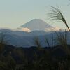 ススキと富士山