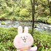 長野の避暑地＆別荘地と言えば軽井沢！”軽井沢星野エリア　ハルニレテラス”に行ってみた