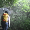 晩夏の三辻山遊山　雨喜び