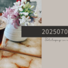 20250705