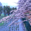 雨で撮影の予定が潰れた…