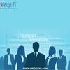 Professional Services Responsibilities | Pridesys IT Ltd
