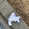 やる気が起きない。